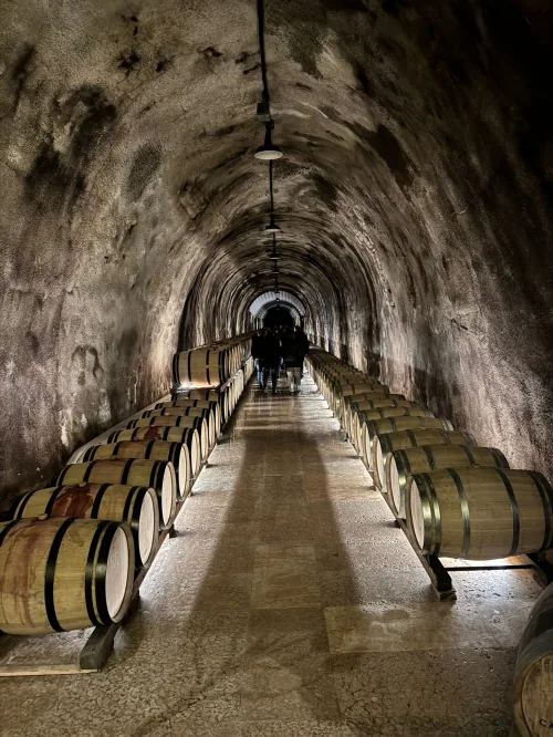 Technologies et saveurs de l’Italie : de l’usinage du métal à la dégustation de vin